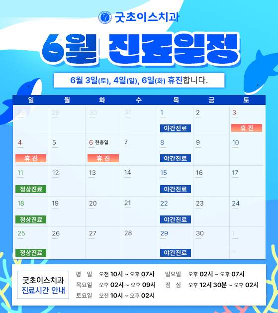 6월 진료일정