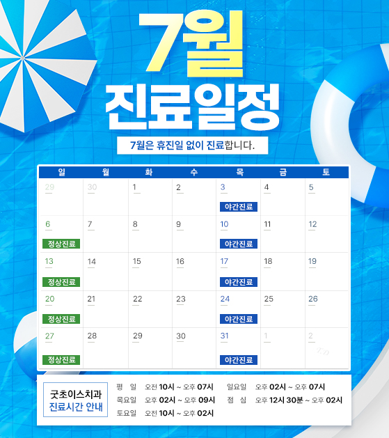 진료일정