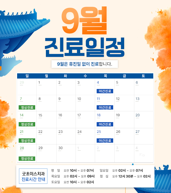 진료일정