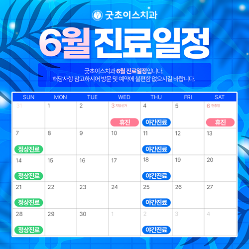 6월 진료일정